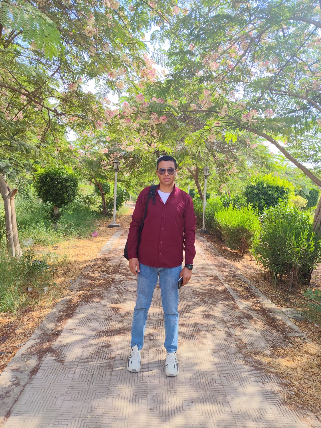 Ahmed mahmoud