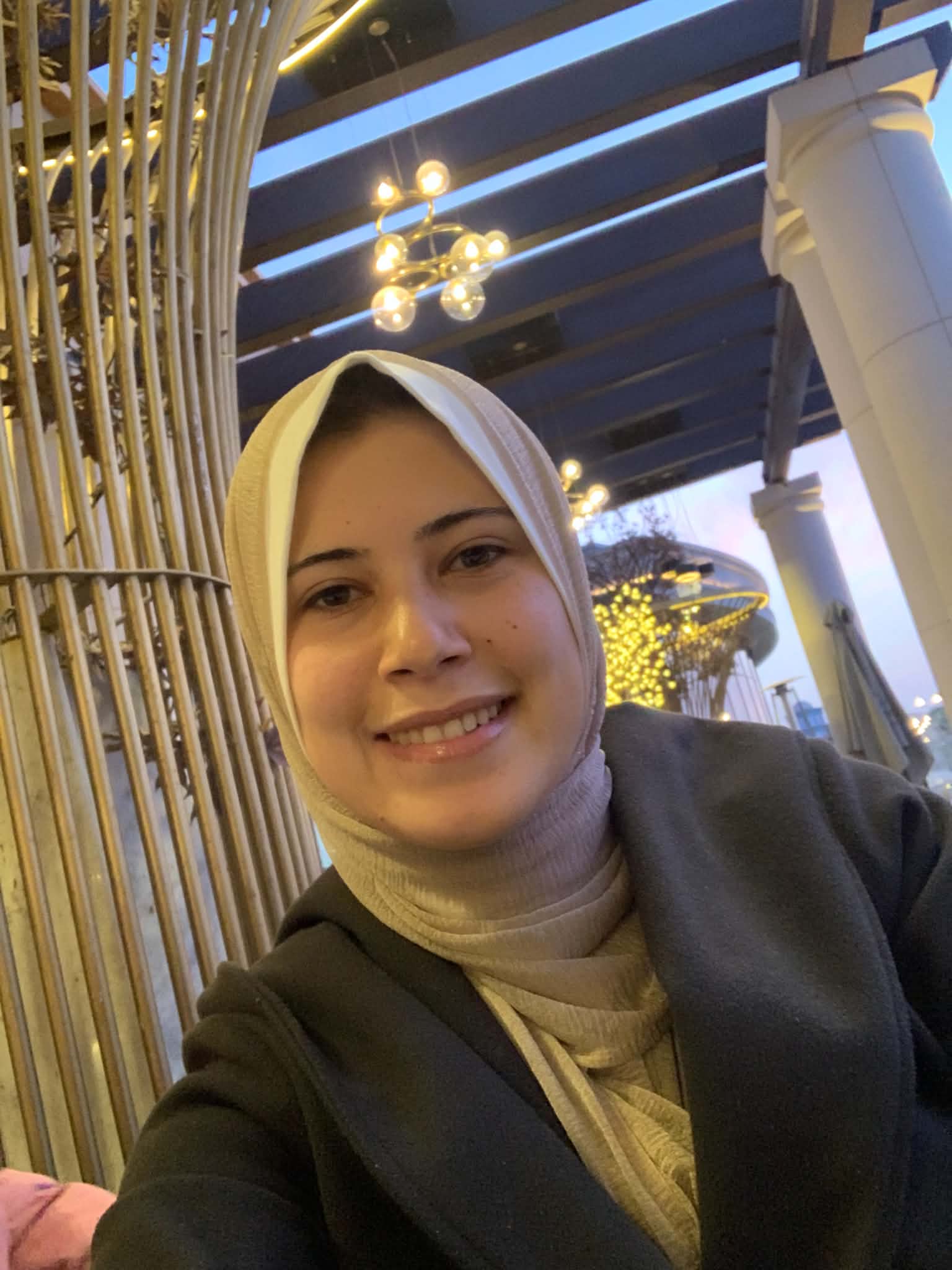 Aseel A.Alborno