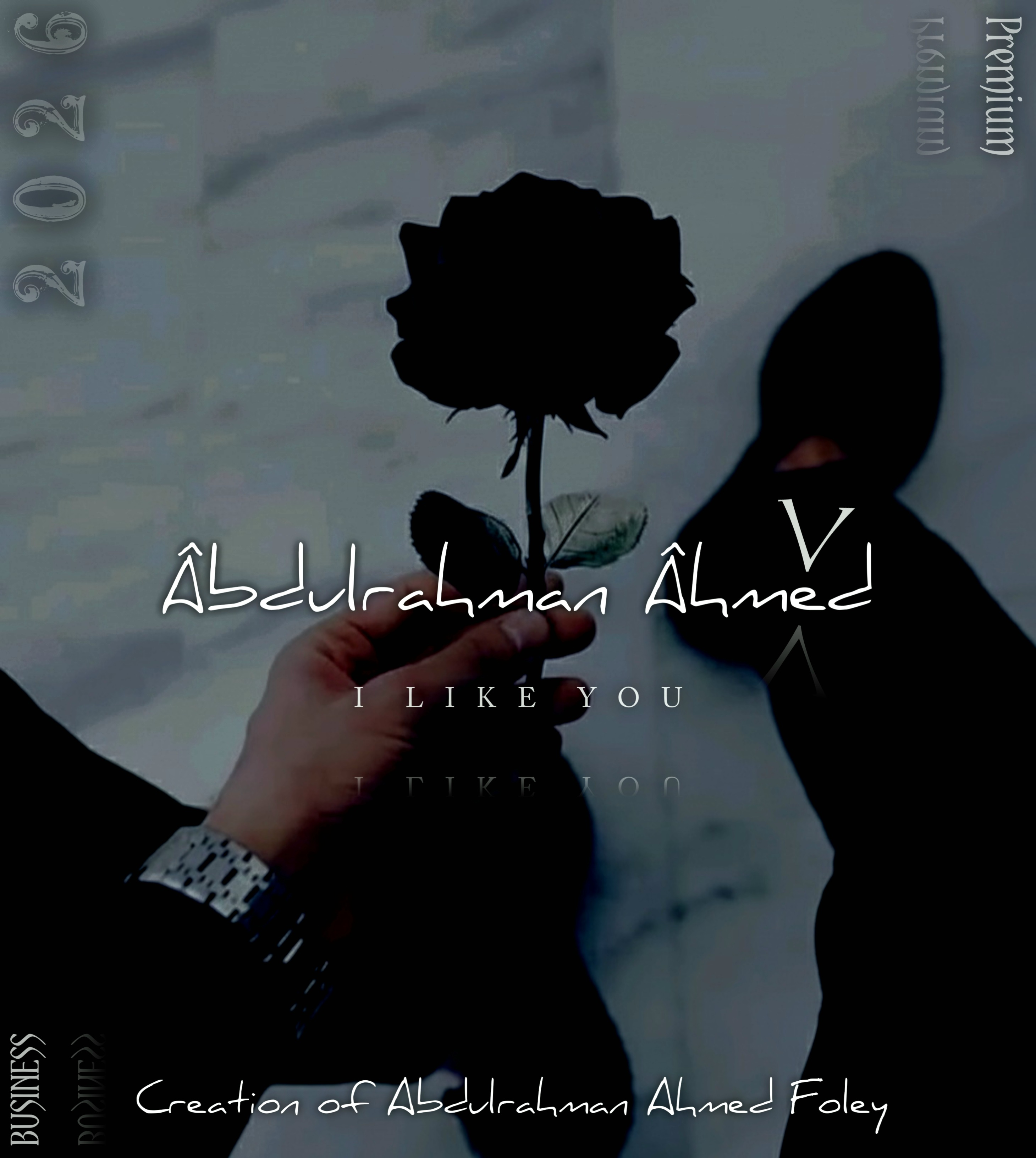 عبدالرحمن احمد فولي