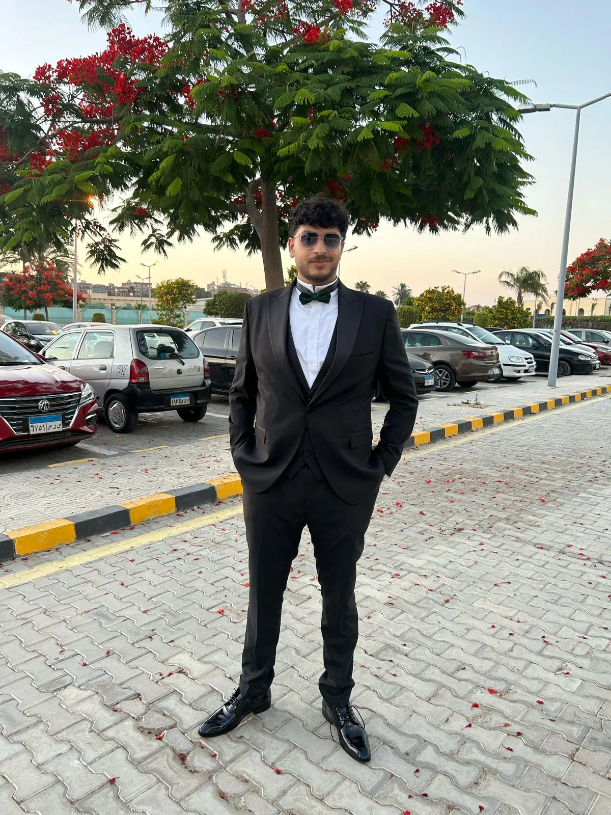mostafa abd momen