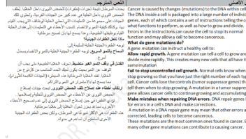 الخدمة 