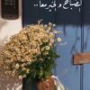 رسالة صباحية