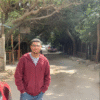 Frontend Developer