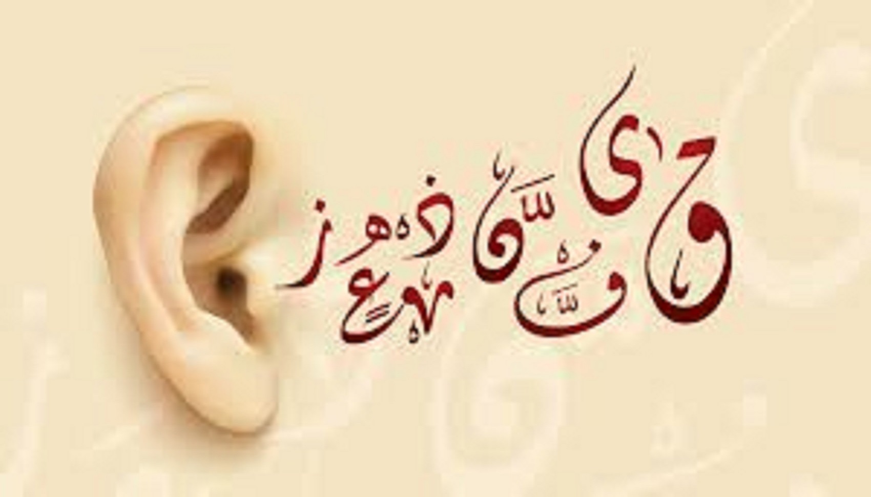 المستخدم راية