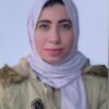 مدخلة ومحللة بيانات