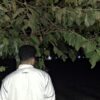 جرافيك ديزاينر