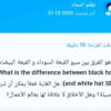 كتابة مقالات حصربة مقابل 5 دولار