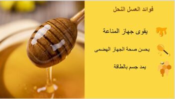 نموذج أعمال