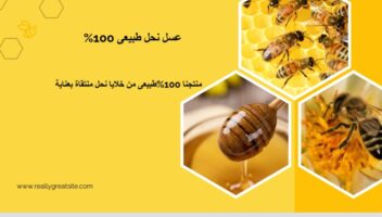 الخدمة 