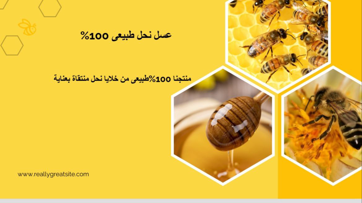 إعداد عرض بوربوينت احترافى (10 شرائح) بتصميم جذاب