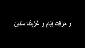 المستخدم راية