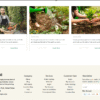 “إنشاء موقع WordPress متجاوب وسريع | HTML, CSS, JS, Bootstrap, Tailwind”