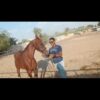 مسوق أو كاتب أو مترجم مقالات