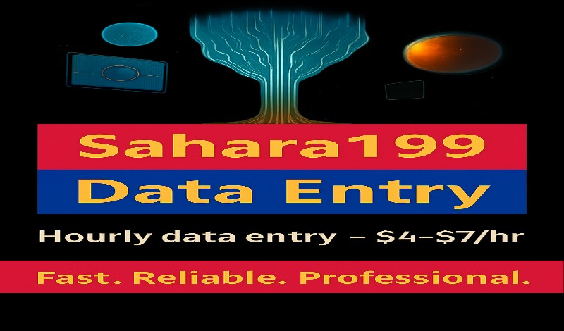 ساقوم بإدخال البيانات باحترافية ساعة 10$