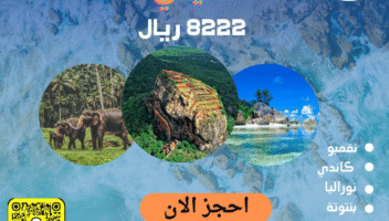 نموذج أعمال