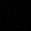 web Developer
